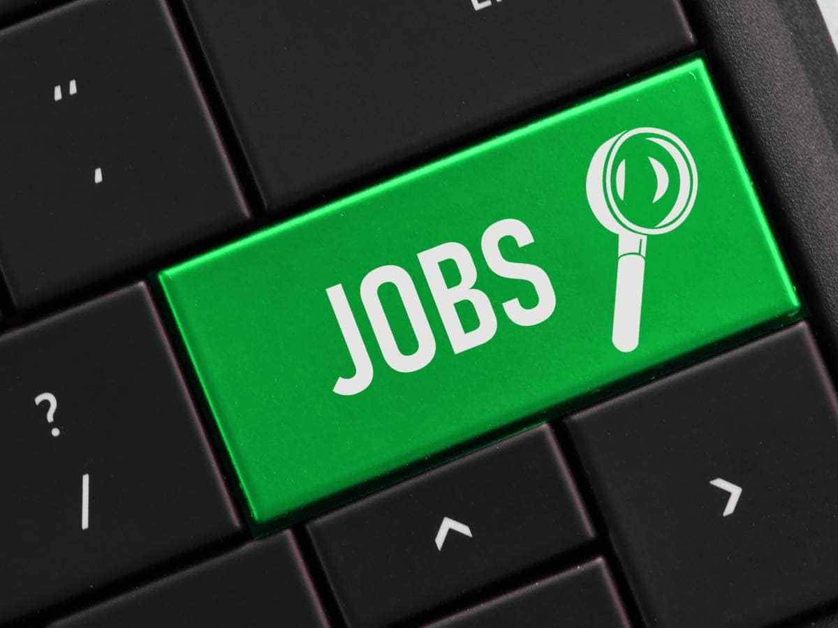 job search ll